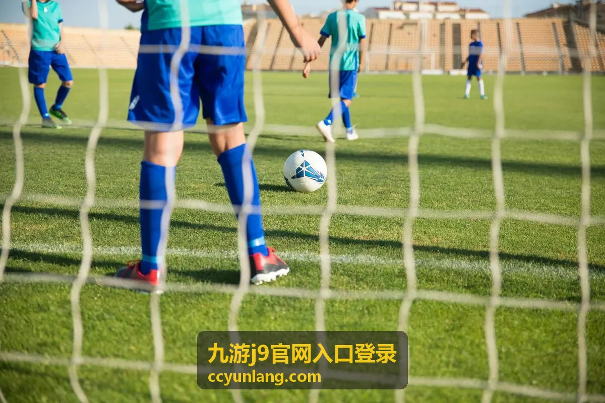九游j9官网入口登录入口核对服务平台指引